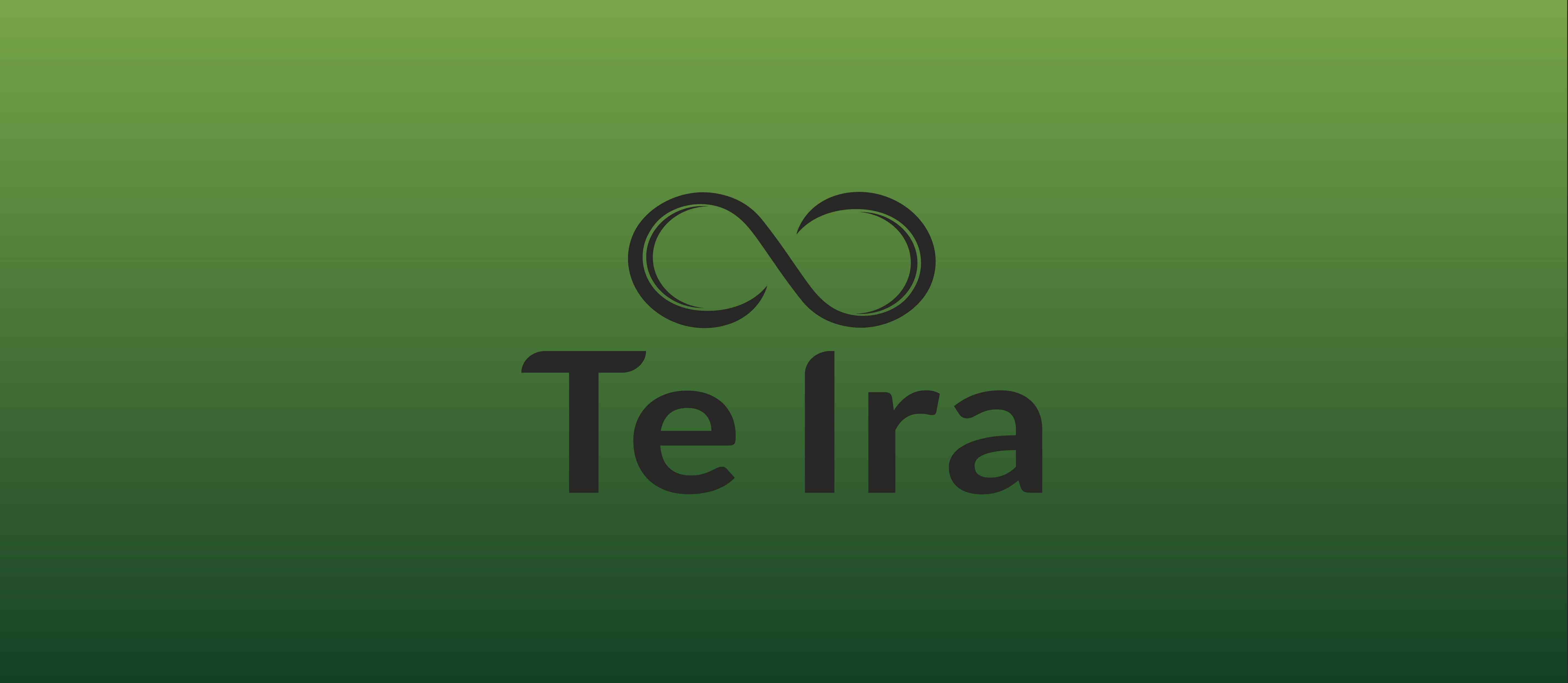 Te Ira project image