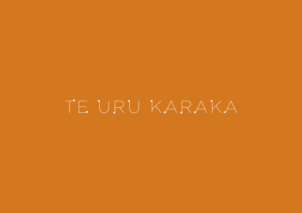 Te Uru project image