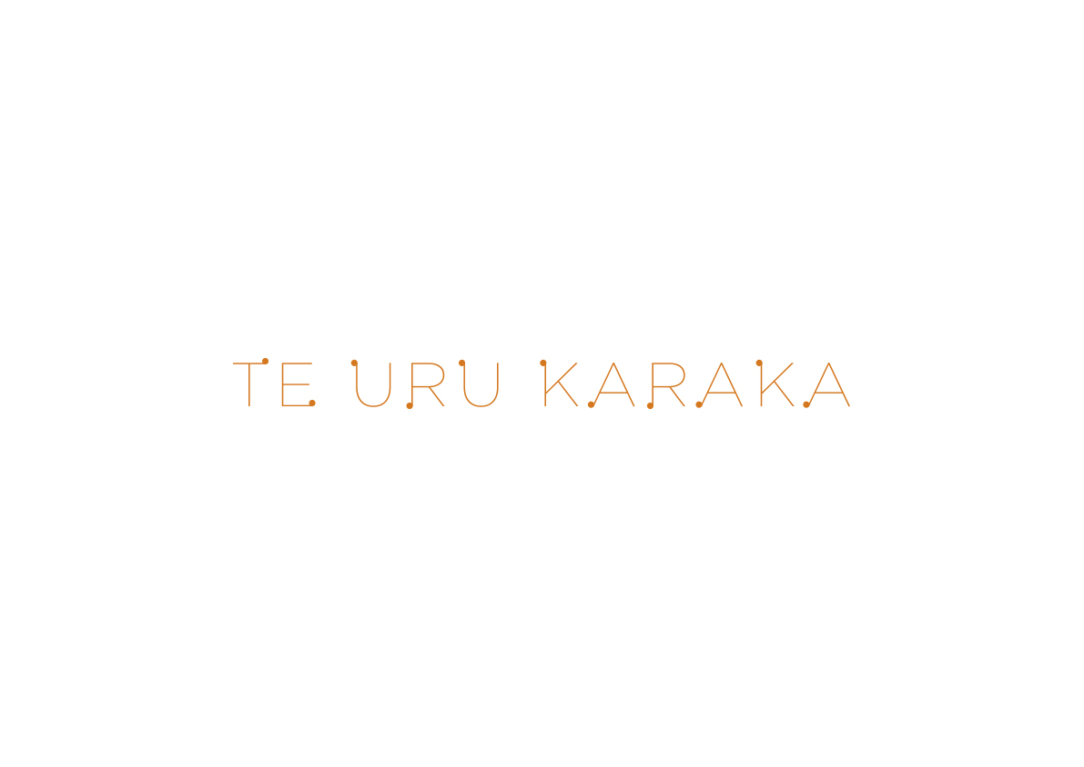 Te Uru project image